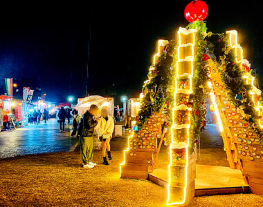 雪のないクリスマス🎄✨